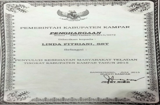 Sertifikat Penyuluh Kesehatan Terbaik tahun 2015